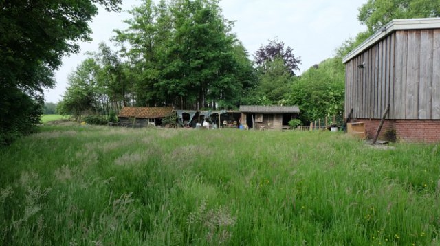 Dauwtrappen (donderdag 26 mei 2022)